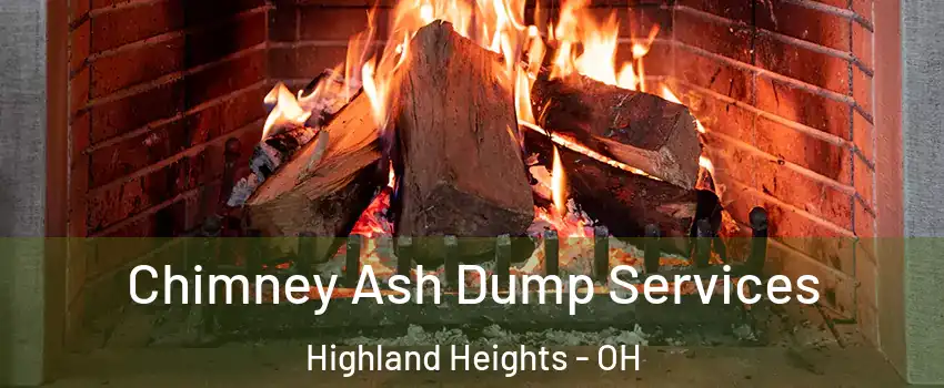 Chimney Ash Dump Services Highland Heights - OH