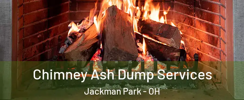 Chimney Ash Dump Services Jackman Park - OH