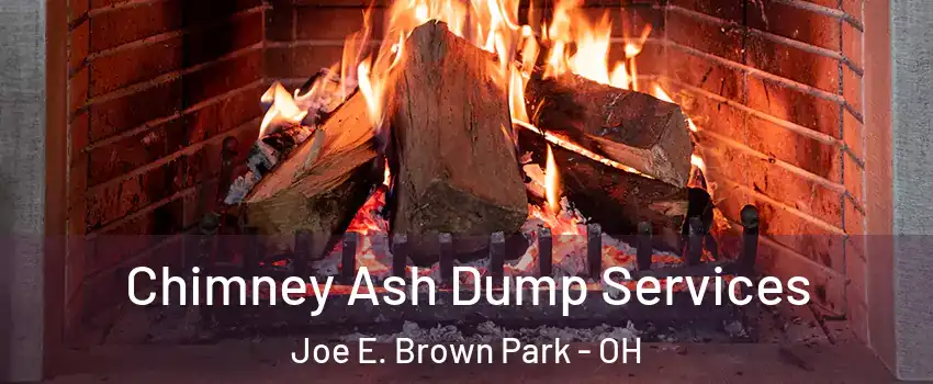 Chimney Ash Dump Services Joe E. Brown Park - OH