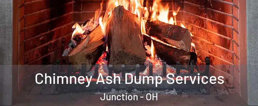 Chimney Ash Dump Services Junction - OH