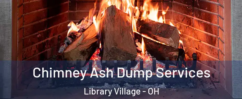 Chimney Ash Dump Services Library Village - OH