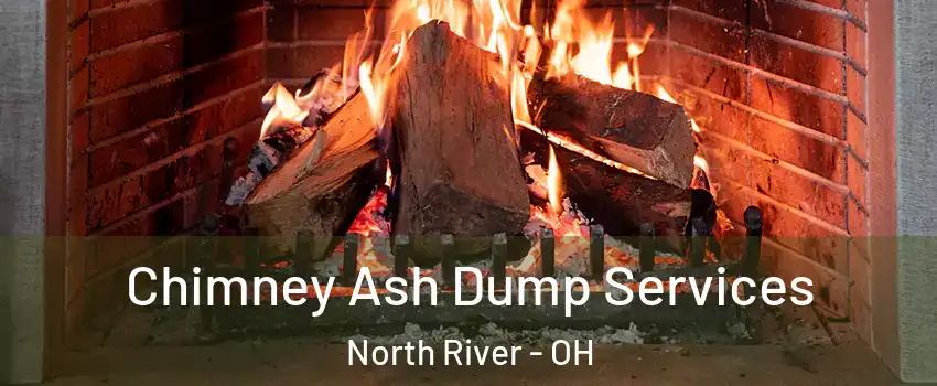 Chimney Ash Dump Services North River - OH