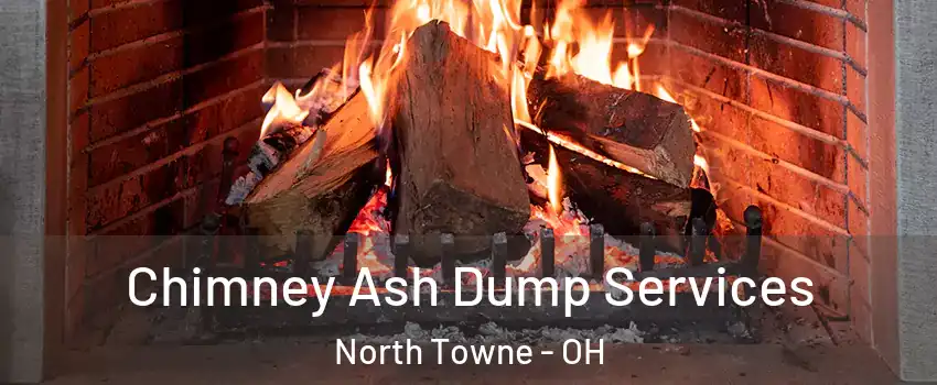 Chimney Ash Dump Services North Towne - OH
