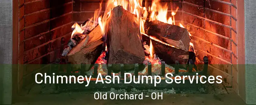 Chimney Ash Dump Services Old Orchard - OH