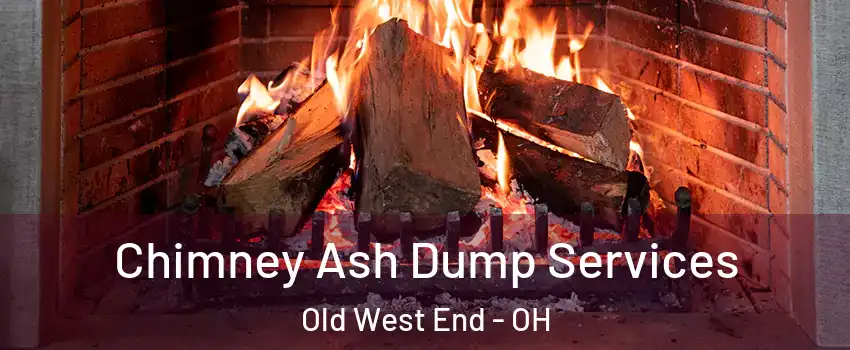Chimney Ash Dump Services Old West End - OH