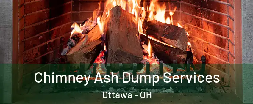 Chimney Ash Dump Services Ottawa - OH