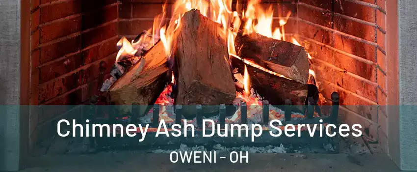 Chimney Ash Dump Services OWENI - OH