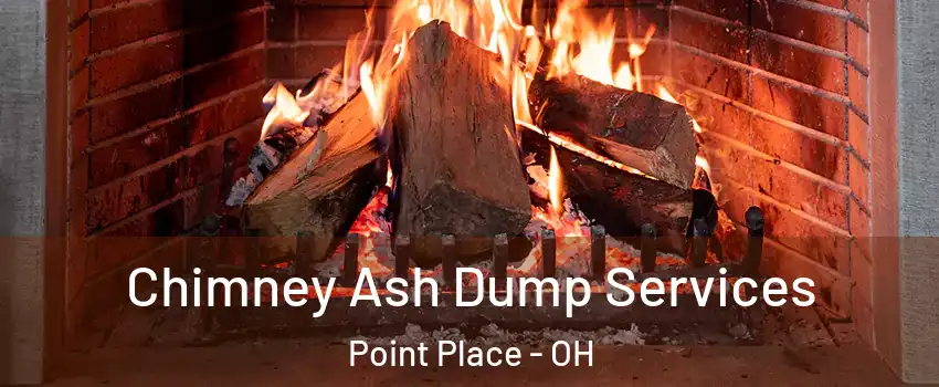Chimney Ash Dump Services Point Place - OH