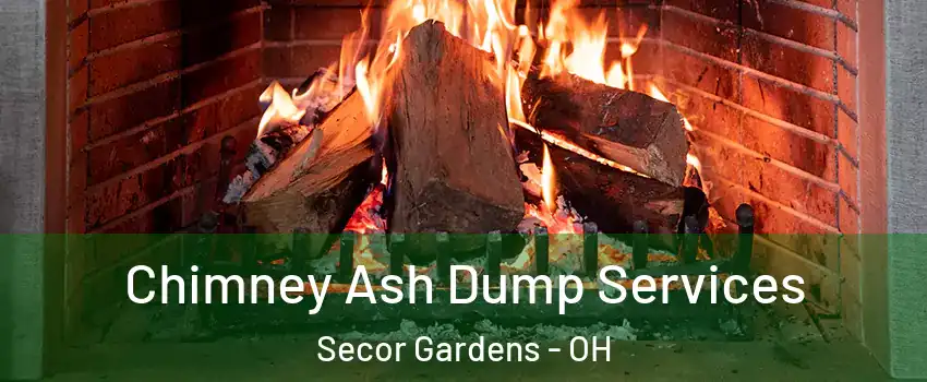 Chimney Ash Dump Services Secor Gardens - OH