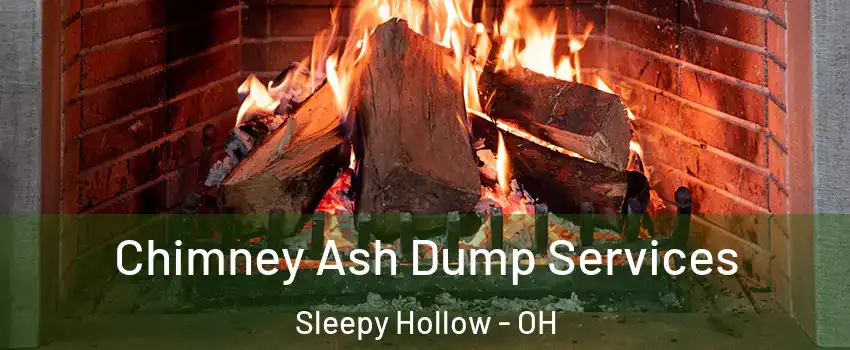 Chimney Ash Dump Services Sleepy Hollow - OH