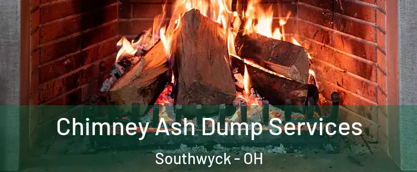 Chimney Ash Dump Services Southwyck - OH