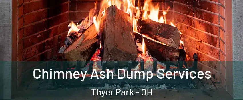 Chimney Ash Dump Services Thyer Park - OH