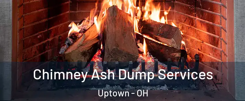 Chimney Ash Dump Services Uptown - OH
