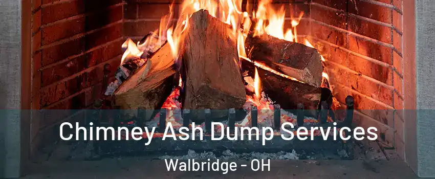 Chimney Ash Dump Services Walbridge - OH