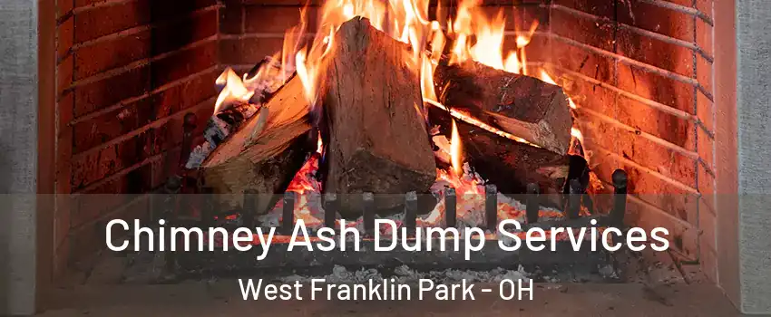 Chimney Ash Dump Services West Franklin Park - OH