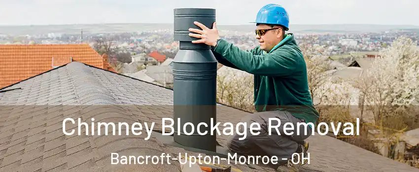 Chimney Blockage Removal Bancroft-Upton-Monroe - OH