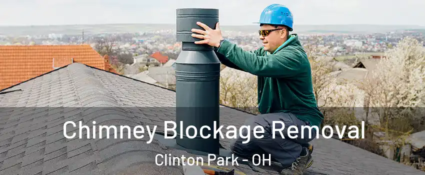 Chimney Blockage Removal Clinton Park - OH