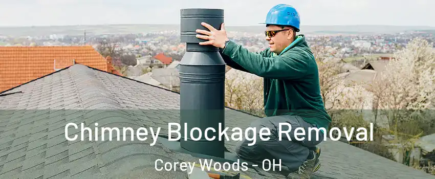 Chimney Blockage Removal Corey Woods - OH