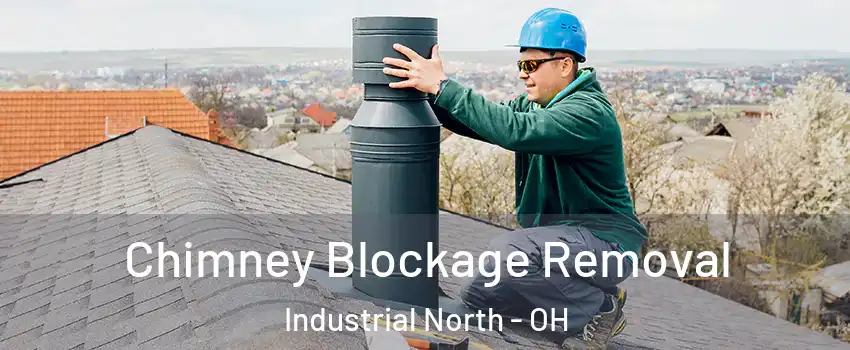 Chimney Blockage Removal Industrial North - OH