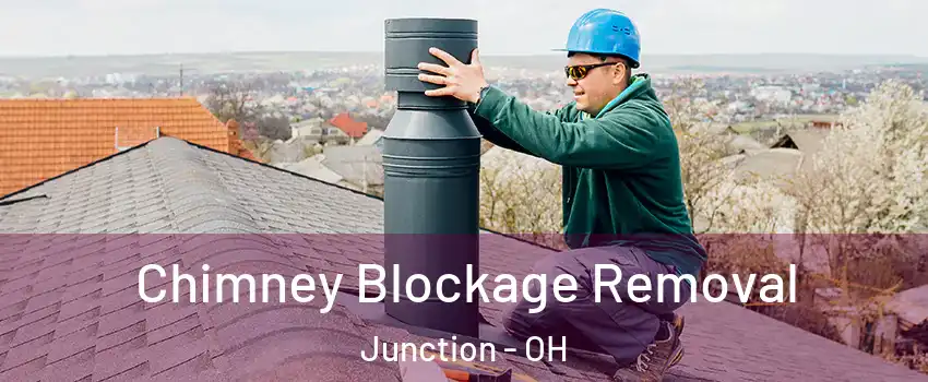 Chimney Blockage Removal Junction - OH