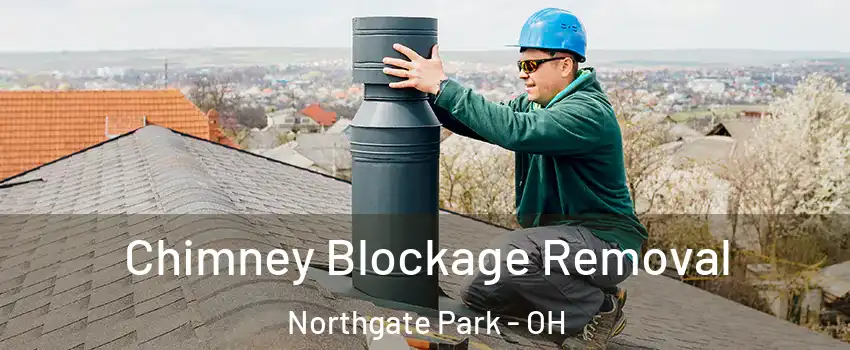 Chimney Blockage Removal Northgate Park - OH