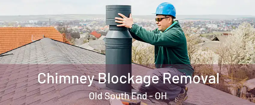 Chimney Blockage Removal Old South End - OH