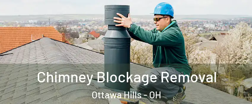 Chimney Blockage Removal Ottawa Hills - OH