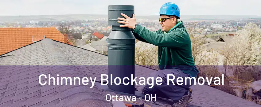 Chimney Blockage Removal Ottawa - OH