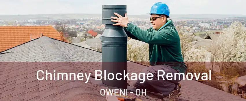 Chimney Blockage Removal OWENI - OH