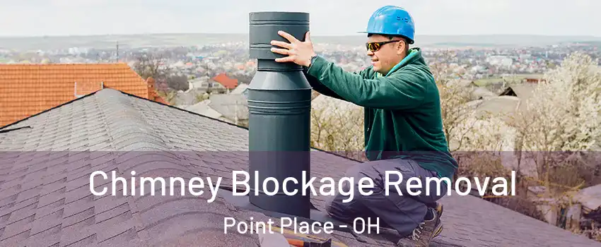Chimney Blockage Removal Point Place - OH