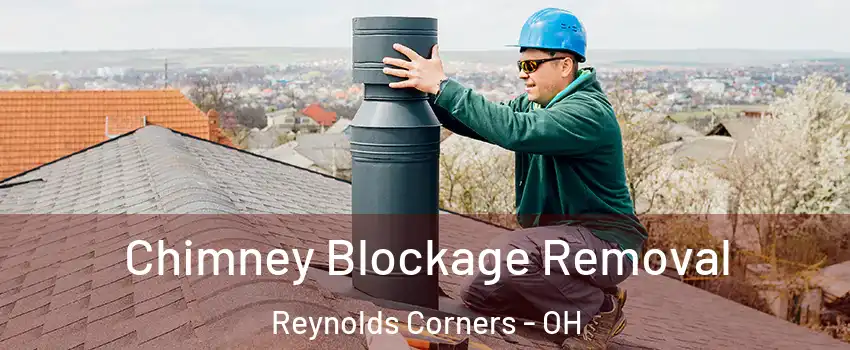 Chimney Blockage Removal Reynolds Corners - OH