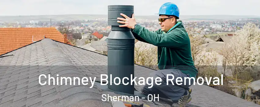 Chimney Blockage Removal Sherman - OH