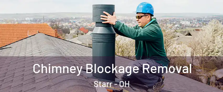 Chimney Blockage Removal Starr - OH