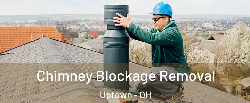 Chimney Blockage Removal Uptown - OH