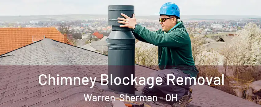 Chimney Blockage Removal Warren-Sherman - OH