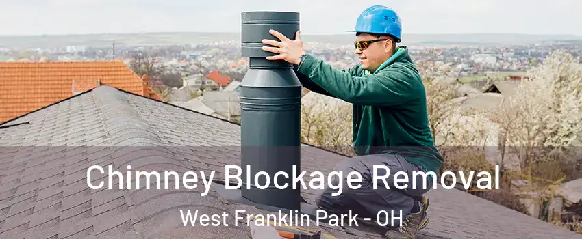 Chimney Blockage Removal West Franklin Park - OH