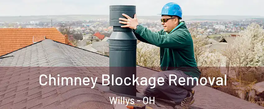 Chimney Blockage Removal Willys - OH