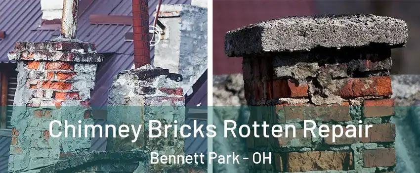 Chimney Bricks Rotten Repair Bennett Park - OH