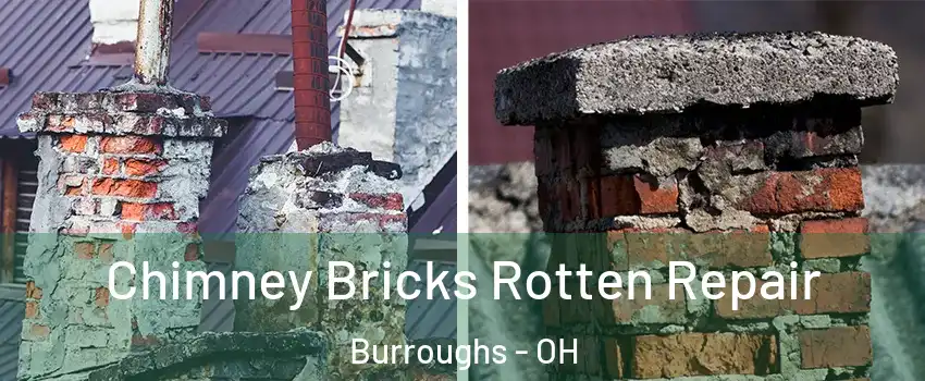 Chimney Bricks Rotten Repair Burroughs - OH