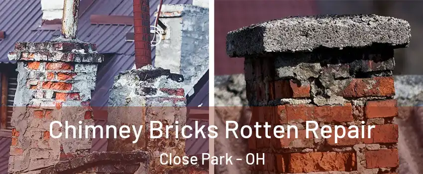 Chimney Bricks Rotten Repair Close Park - OH