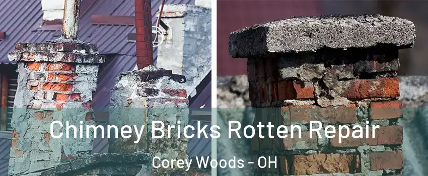 Chimney Bricks Rotten Repair Corey Woods - OH