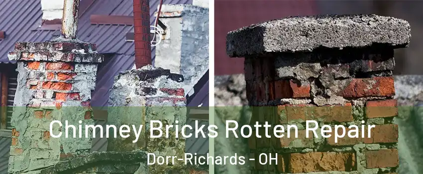 Chimney Bricks Rotten Repair Dorr-Richards - OH
