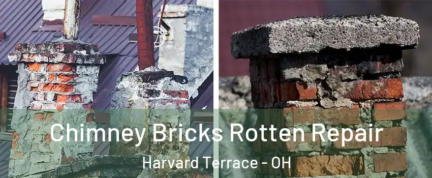 Chimney Bricks Rotten Repair Harvard Terrace - OH