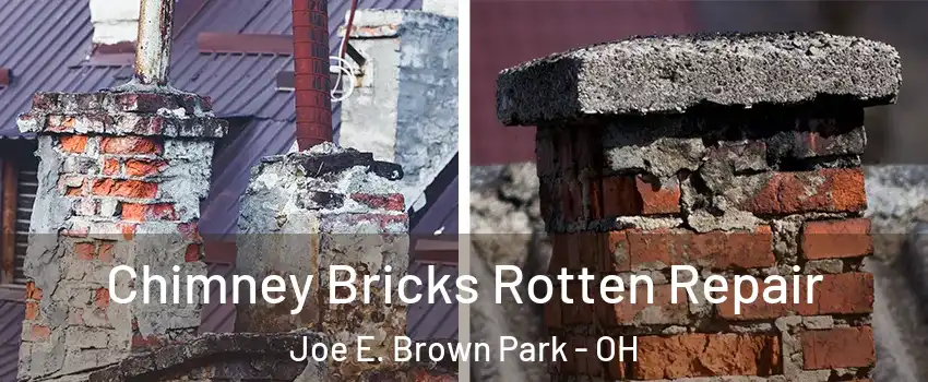 Chimney Bricks Rotten Repair Joe E. Brown Park - OH