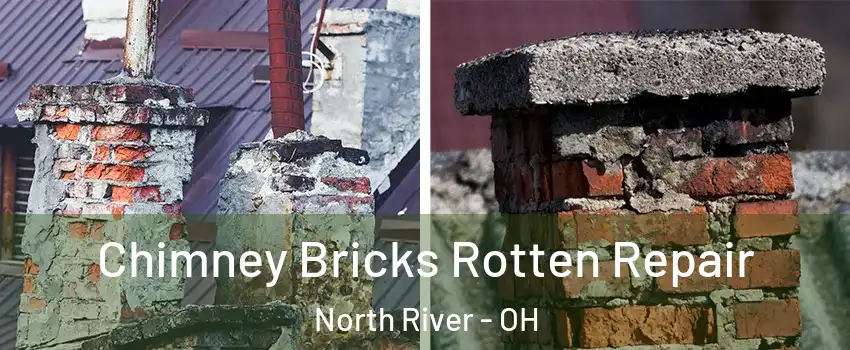 Chimney Bricks Rotten Repair North River - OH