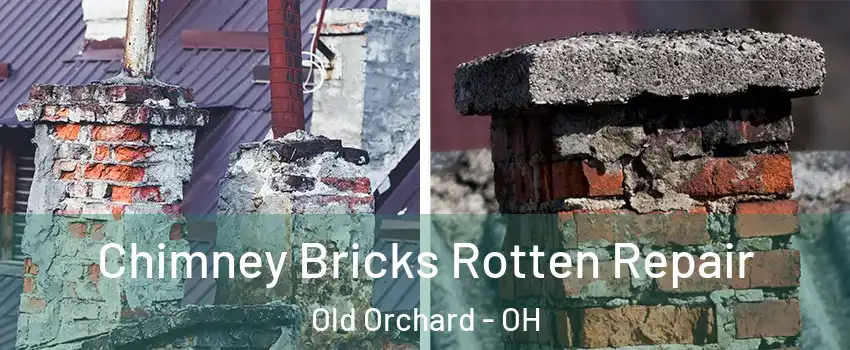 Chimney Bricks Rotten Repair Old Orchard - OH