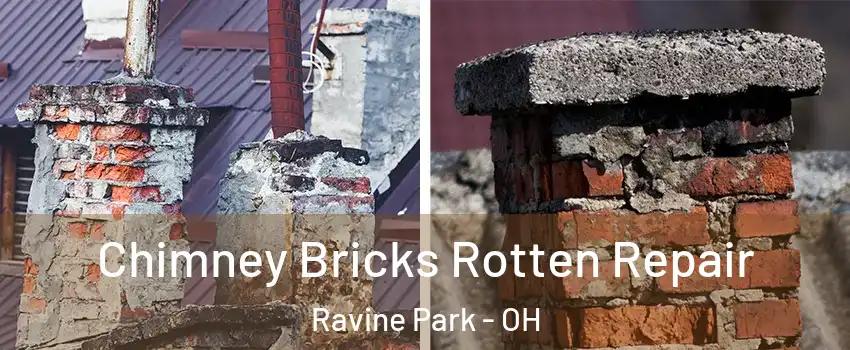 Chimney Bricks Rotten Repair Ravine Park - OH