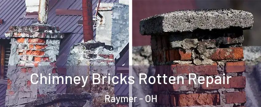 Chimney Bricks Rotten Repair Raymer - OH