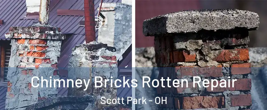 Chimney Bricks Rotten Repair Scott Park - OH