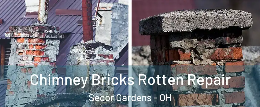 Chimney Bricks Rotten Repair Secor Gardens - OH